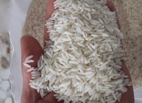 قیمت خرید برنج محلی مازندران + فروش ویژه